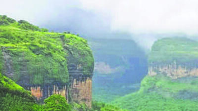 Tamhini and Sudhagad officially became forest reserves in 2022 as against their earlier status as wildlife sanctuaries. Throughout the year, tourists visit popular spots such as Andharban forest, Plus Valley, Devkund and several other small and big waterfalls. (HT FILE PHOTO) Tamhini and Sudhagad officially became forest reserves in 2022 as against their earlier status as wildlife sanctuaries. Throughout the year, tourists visit popular spots such as Andharban forest, Plus Valley, Devkund and several other small and big waterfalls. (HT FILE PHOTO)