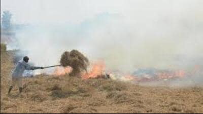 Those found contributing to air pollution through crop burning in the coming weeks will face penalties. (Pic for representation)