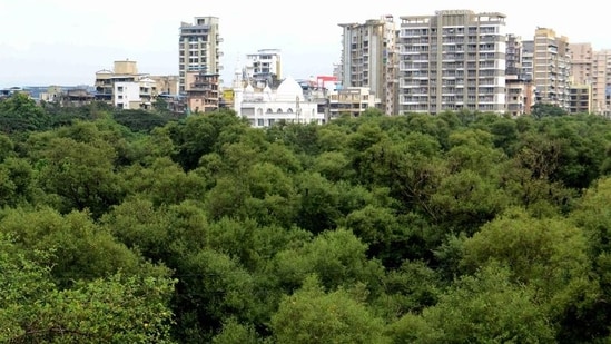 Approvals are now awaited from the ministry of environment, forests and climate change, the Bombay high court, and the forest department, including for mangrove patches. (Photo by Bachchan Kumar/ HT PHOTO) (HT PHOTO)
