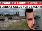 Double Win For Putin? Zelensky Calls For Ceasefire As West In Panic Double Win For Putin? Zelensky Calls For Ceasefire As West In Panic