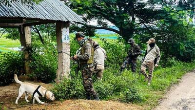 Assam rifles and Manipur Police conduct a joint search operation using a sniffer dog in the general area of Tekcham Maning Ching. (ANI) Assam rifles and Manipur Police conduct a joint search operation using a sniffer dog in the general area of Tekcham Maning Ching. (ANI)