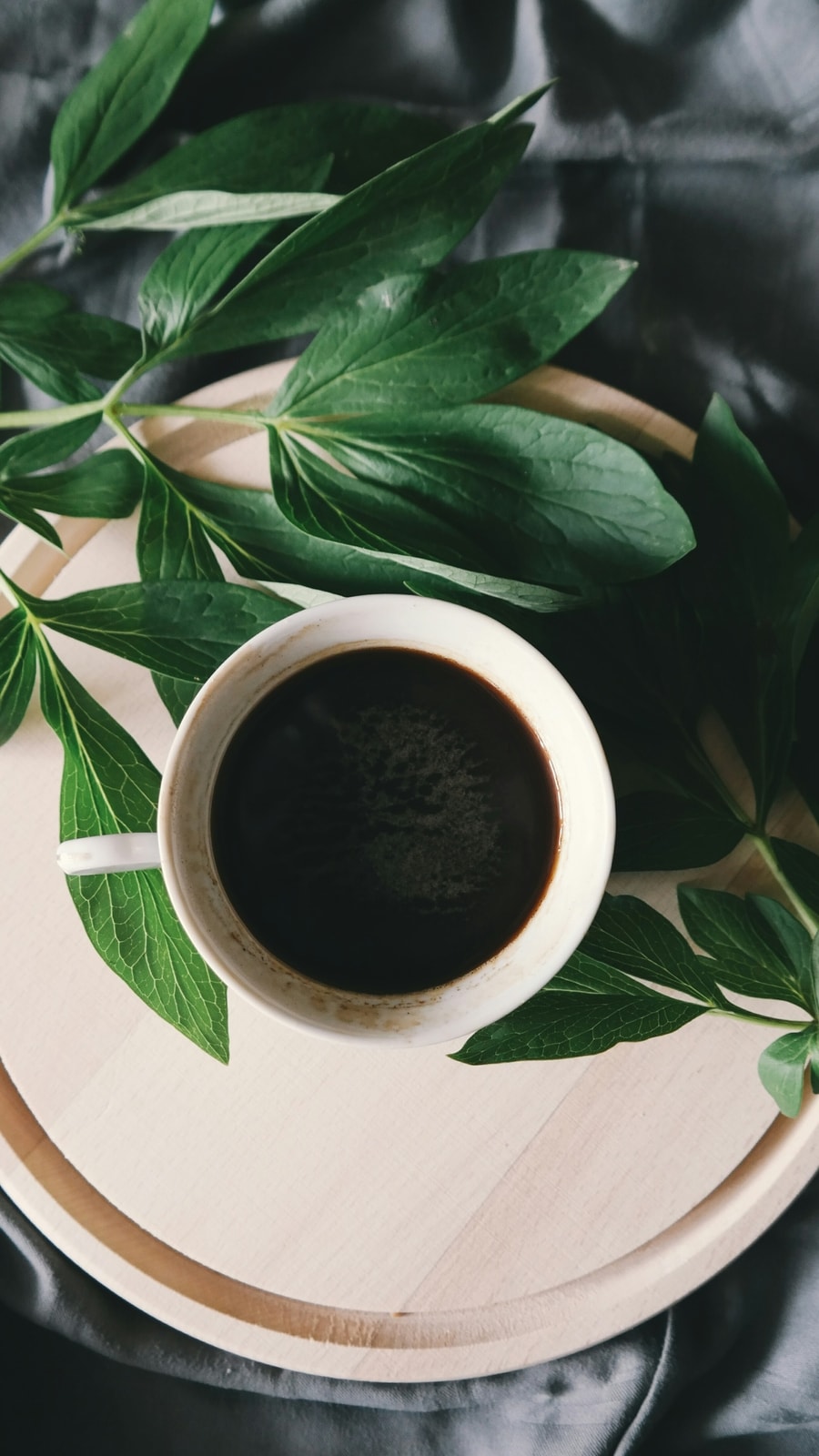 brigitte-tohm-yRH0JI2S2KA-unsplash