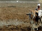 Among other reasons for the defeat of the Mahayuti alliance in the Lok Sabha election was the unrest among farmers on account of the dip in the prices of crops.   REUTERS/Punit Paranjpe/File Photo