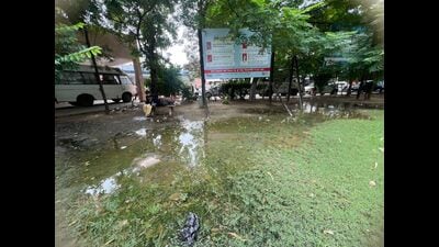 District epidemiologist says flagged issue multiple times, asked authorities concerned to take action. (HT Photo) District epidemiologist says flagged issue multiple times, asked authorities concerned to take action. (HT Photo)