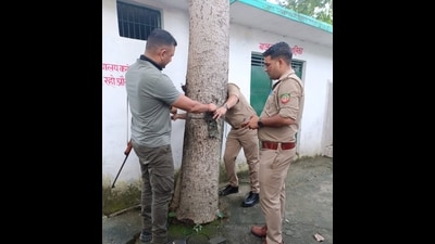 Forest staff installing trap camera in primary school of village Issapur in district Bijnor. (HTPhoto)