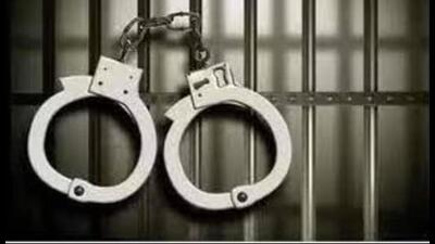 Malvinder Singh Mali was arrested by the Mohali CIA team from Patiala. (HT File) Malvinder Singh Mali was arrested by the Mohali CIA team from Patiala. (HT File)