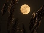 Bhadrapada Purnima, falling on September 17, 2024, is a sacred day for worshipping Lord Vishnu and the Moon deity. (Unsplash)