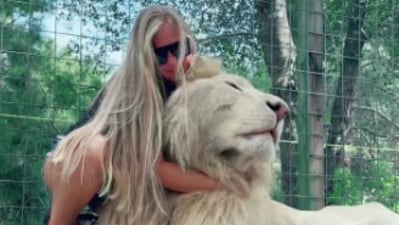 A viral video showed a woman cuddling a massive white lion, sparking a debate. (Instagram/@safarisammie)