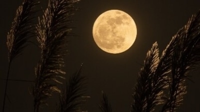 Bhadrapada Purnima, falling on September 17, 2024, is a sacred day for worshipping Lord Vishnu and the Moon deity. (Unsplash) Bhadrapada Purnima, falling on September 17, 2024, is a sacred day for worshipping Lord Vishnu and the Moon deity. (Unsplash)
