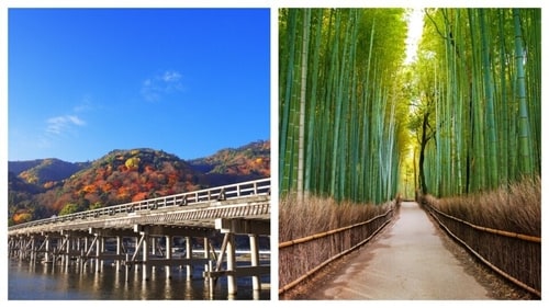 Arashiyama has many scenic places like the bamboo forest and the Togetsukyō Bridge. (Shutterstock) Arashiyama has many scenic places like the bamboo forest and the Togetsukyō Bridge. (Shutterstock)