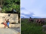 An Indian man's post about staying in JW Marriott in Masai Mara has gone viral. 