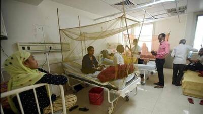A dengue ward in Noida. 974 dengue cases were reported from across the district in 2023, while 468 dengue cases were reported in 2022. In 2021, 637 cases were reported. In 2023, only 44 cases of malaria were reported while 104 cases were reported in 2022. (HT Archive) A dengue ward in Noida. 974 dengue cases were reported from across the district in 2023, while 468 dengue cases were reported in 2022. In 2021, 637 cases were reported. In 2023, only 44 cases of malaria were reported while 104 cases were reported in 2022. (HT Archive)