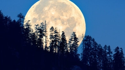 Read how the last eclipse season of 2024 will affect each zodiac sign Read how the last eclipse season of 2024 will affect each zodiac sign