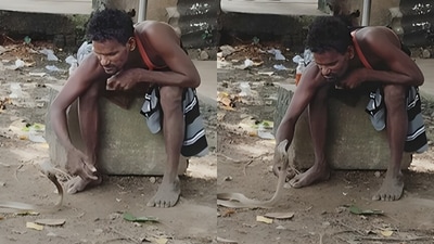 A viral video showed a drunk man calmly interacting with a deadly cobra. (@a2z_venkat) A viral video showed a drunk man calmly interacting with a deadly cobra. (@a2z_venkat)