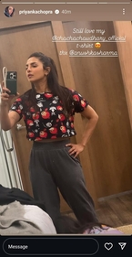 Priyanka via Instagram Stories.