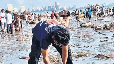550 metric tonnes of waste picked by BMC and volunteers from beaches after visarjan 550 metric tonnes of waste picked by BMC and volunteers from beaches after visarjan