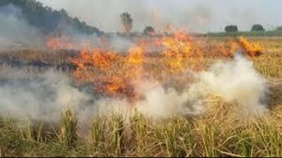 Ahead of the upcoming paddy harvesting season, the Moga district administration has identified 100 villages prone to stubble-burning incidents. (HT File) Ahead of the upcoming paddy harvesting season, the Moga district administration has identified 100 villages prone to stubble-burning incidents. (HT File)
