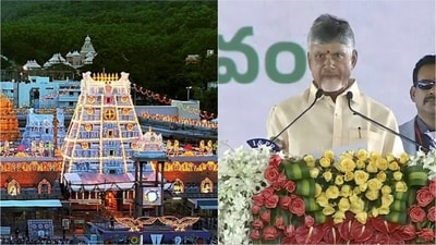 The report cited by Andhra CM Chandrababu Naidu indicated that the ghee contained traces of fish oil, beef tallow, and lard, the latter being a semi-solid white fat derived from pig fatty tissue. The report cited by Andhra CM Chandrababu Naidu indicated that the ghee contained traces of fish oil, beef tallow, and lard, the latter being a semi-solid white fat derived from pig fatty tissue.