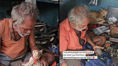 A Bengaluru cobbler who shares his tiny shop with stray animals has received help from the internet (Instagram/@leia_the_golden_indie) A Bengaluru cobbler who shares his tiny shop with stray animals has received help from the internet (Instagram/@leia_the_golden_indie)