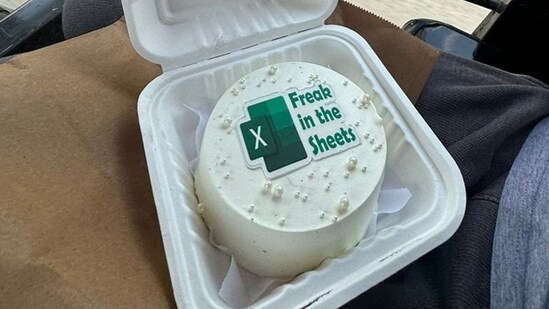 This cake, delivered to an aspiring CA, has become a hit on social media (X/@prath4m)