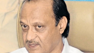 Ajit Pawar rebuked Mahayuti leaders for making statements that are causing unnecessary trouble for the allies. (HT) Ajit Pawar rebuked Mahayuti leaders for making statements that are causing unnecessary trouble for the allies. (HT)