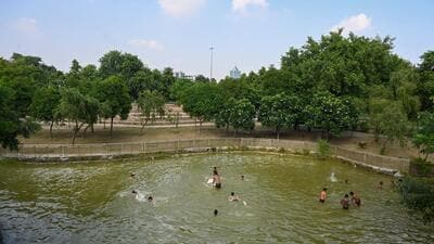 The authority, officials said, has earmarked ₹40 crore for development of a Deer Park in Sector 91, and ₹20 crore for Waste to Wonder Park. (Sunil Ghosh/HT Photo) The authority, officials said, has earmarked ₹40 crore for development of a Deer Park in Sector 91, and ₹20 crore for Waste to Wonder Park. (Sunil Ghosh/HT Photo)