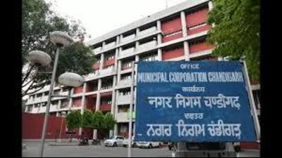 The finance and contract committee of Chandigarh municipal corporation discussed several agenda items and accorded approval for celebrating the 37th Chrysanthemum show-2024 at the Terraced Garden in mid-December at  ₹25 lakh. (HT File)