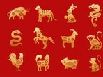 Read your weekly Chinese love horoscope based on your zodiac sign.