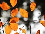 Angel numbers to watch this c for each zodiac sign. Angel numbers to watch this c for each zodiac sign.