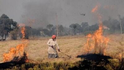 A farmer burns crop stubble in Punjab. Every year, farm fires cause air pollution in Delhi during winters. (HT Photo) A farmer burns crop stubble in Punjab. Every year, farm fires cause air pollution in Delhi during winters. (HT Photo)