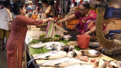 The Bangladeshi government has banned the export of Padma Hilsa to India after Sheikh Hasina's exit (ANI Photo)
