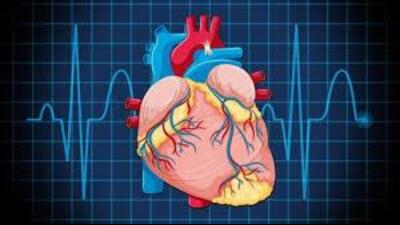 At least 52 students from government and government-aided schools, and anganwadi centres have been diagnosed with congenital heart disease till August this year, officials from District Early Intervention Centre (DEIC) said. (HT File)