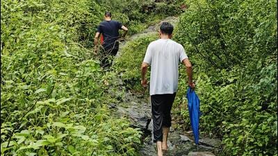The event is organised by Haryana Tourism in collaboration with the forest department. (Parveen Kumar/HT Photo) The event is organised by Haryana Tourism in collaboration with the forest department. (Parveen Kumar/HT Photo)