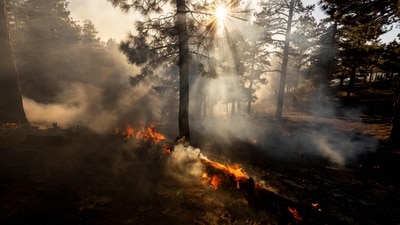 The Bridge Fire flares up in the Big Pines hills near Wrightwood, California, on September 12, 2024. A wildfire in the hills near Los Angeles exploded overnight, torching dozens of homes as its footprint swelled 1,000 percent by September 11, 2024. (AFP) The Bridge Fire flares up in the Big Pines hills near Wrightwood, California, on September 12, 2024. A wildfire in the hills near Los Angeles exploded overnight, torching dozens of homes as its footprint swelled 1,000 percent by September 11, 2024. (AFP)