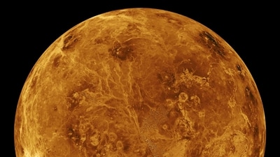 Venus transits Scorpio impact on each zodiac sign. (NASA Science) Venus transits Scorpio impact on each zodiac sign. (NASA Science)