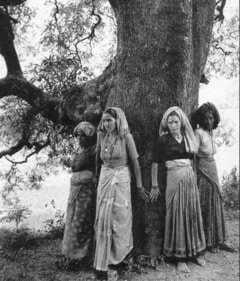 A group of women avert the felling of ash trees in Raini village (in present day Uttarakhand) in March 1974. This came to be called the Chipko movement (HT ARCHIVE)