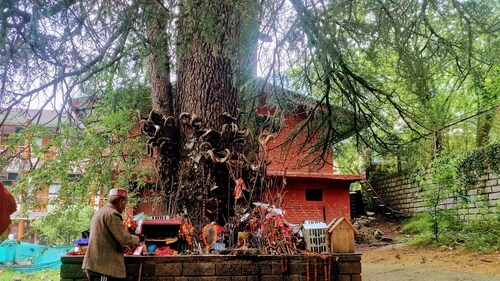 The Ghatotkach Temple, Manali (Sonya Dutta Choudhury) The Ghatotkach Temple, Manali (Sonya Dutta Choudhury)
