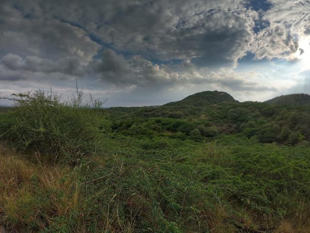 A view of the Gurugram stretch of Aravalli Hills. (Parveen Kumar/HT Photo) A view of the Gurugram stretch of Aravalli Hills. (Parveen Kumar/HT Photo)