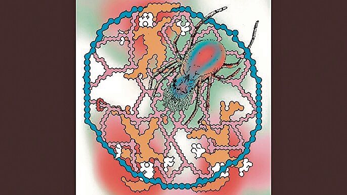 Cover art for Not Rick by Anna Erhard. Her music is self-deprecating, witty and great fun. Cover art for Not Rick by Anna Erhard. Her music is self-deprecating, witty and great fun.