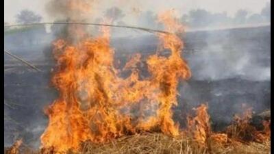 8,000 employees to keep an eye on farm fires; state saw 36,663 such cases last year. (HT File) 8,000 employees to keep an eye on farm fires; state saw 36,663 such cases last year. (HT File)