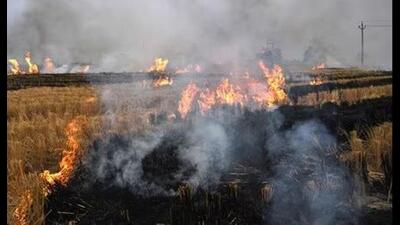 Moga deputy commissioner has hailed the move of Patto residents. (HT File)
