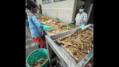 Pune generates more than 2,000 tonnes of garbage daily, and the quantity only increases during festivals and on special days. (HT FILE) Pune generates more than 2,000 tonnes of garbage daily, and the quantity only increases during festivals and on special days. (HT FILE)
