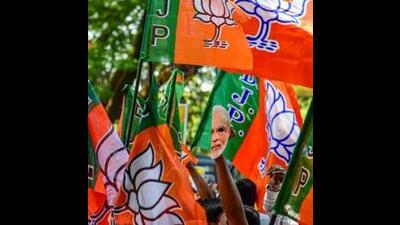 The BJP suffered a significant setback, emerging as the single largest party but fell well short of a parliamentary majority. (PTI) The BJP suffered a significant setback, emerging as the single largest party but fell well short of a parliamentary majority. (PTI)