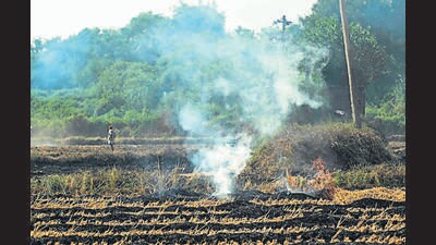 A farmer stands near the burning rice straw after harvesting the paddy crops on the outskirts of Amritsar on Monday. (AFP) A farmer stands near the burning rice straw after harvesting the paddy crops on the outskirts of Amritsar on Monday. (AFP)