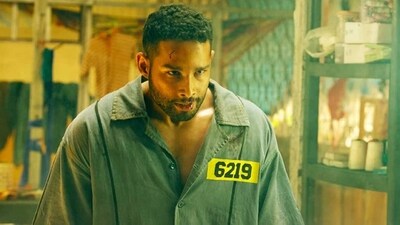 Yudhra box office collection day 4: Siddhant Chaturvedi film dips on Monday Yudhra box office collection day 4: Siddhant Chaturvedi film dips on Monday