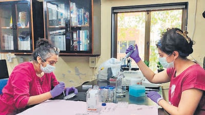 TIFR-led study identifies brain region targeted by psychedelic drugs TIFR-led study identifies brain region targeted by psychedelic drugs