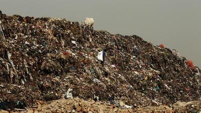 Experts said segregation can help reduce burden on landfills. (HT Archive) Experts said segregation can help reduce burden on landfills. (HT Archive)