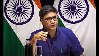 Foreign secretary Vikram Misri (PTI) Foreign secretary Vikram Misri (PTI)