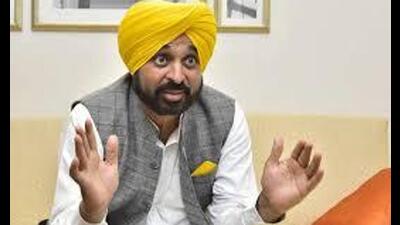 Punjab chief minister Bhagwant Mann (HT File)