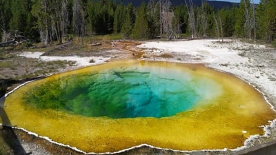 Yellowstone National Park's famous Morning Glory Pool has turned yellow-green due to the trash thrown by tourists over the years Yellowstone National Park's famous Morning Glory Pool has turned yellow-green due to the trash thrown by tourists over the years